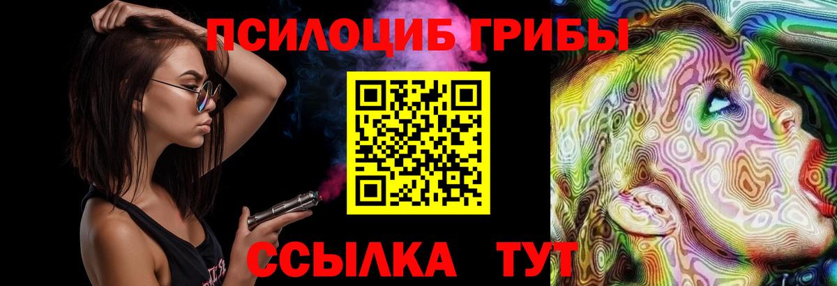 Галлюциногенные грибы Psilocybine cubensis Куйбышев